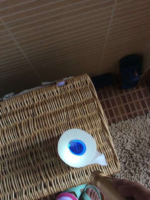 寶媽買(mǎi)了紫光手電,衣服上好多熒光劑,看的心慌害怕